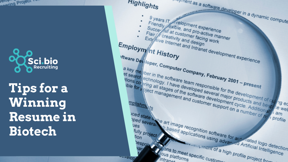 resume showing a bar graph