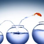 Is Another Degree Necessary After Your PhD?