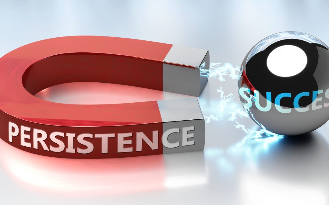 persistence success magnet
