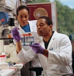 Hiring in Biotech