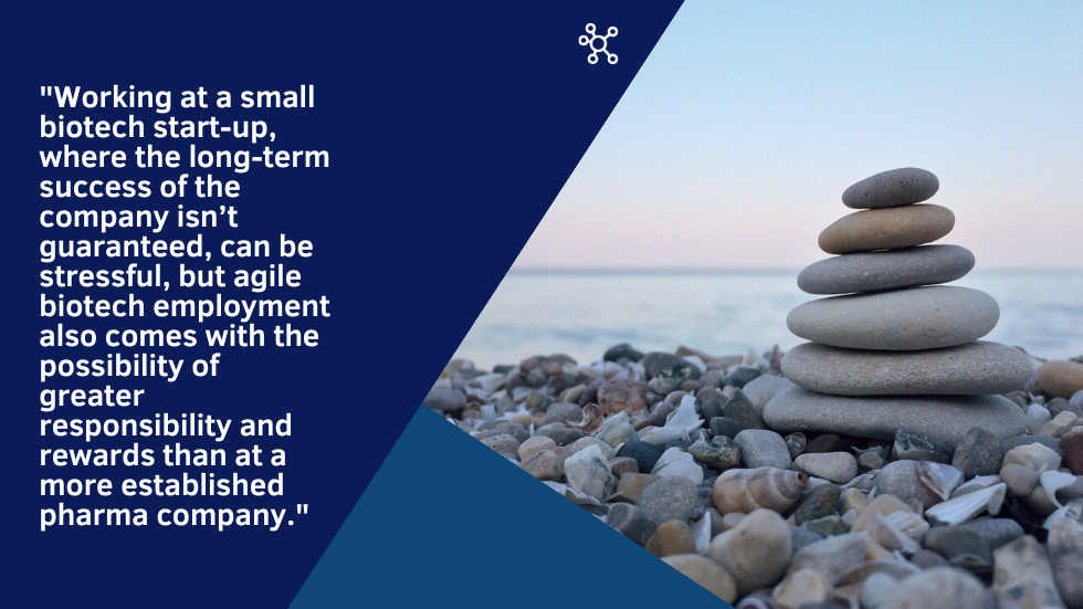A pile of rocks balancing one on top of the other